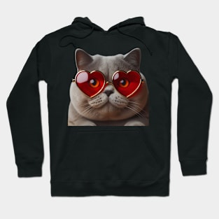 Cute Shorthair Valentine Cat with Red Heart Goggles Hoodie